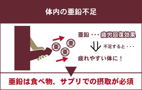 亜鉛 オナニー|健康診断の前夜にオナニーして大丈夫？毎日しこったら病気に？。